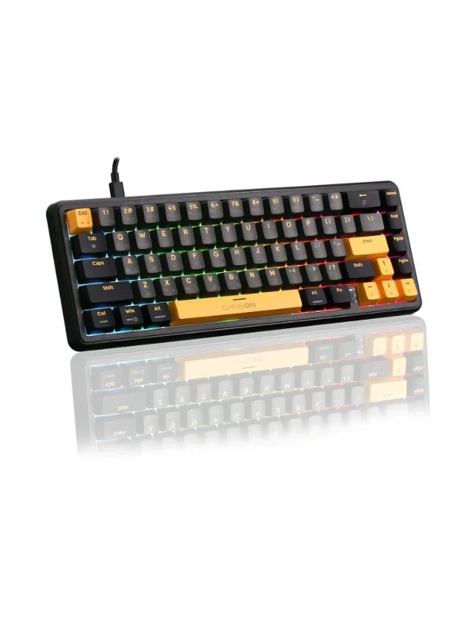 Premium 60% RGB Magnetic Mechanical Gaming Keyboard, Compact 67-Key Layout with Hall-Effect Switches, Hot-Swappable Wired USB-C (Pink) c5fwu