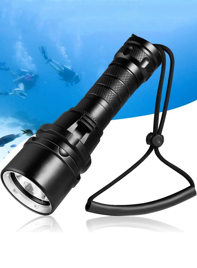 Garlo Professional Diving Flashlight 2000 Lumen Waterproof Underwater LED Torch (Black, 15 cm) tz9bh