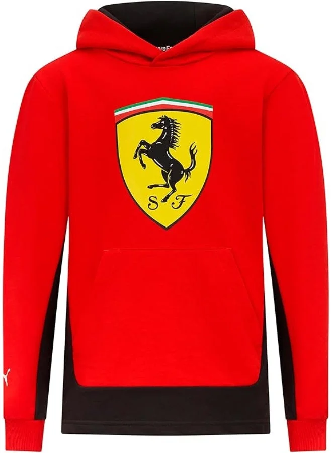 Premium Kids Big Shield Hoodie Cotton Pullover Sweatshirt for Boys and Girls (Size 128 cm) 5iqkq