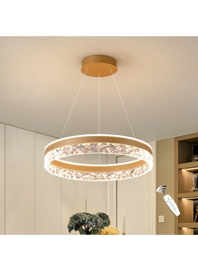 Tineni Modern LED Ceiling Lamp Adjustable Acrylic Ring Light with Remote Dimming (Gold, 50W) gmw8p