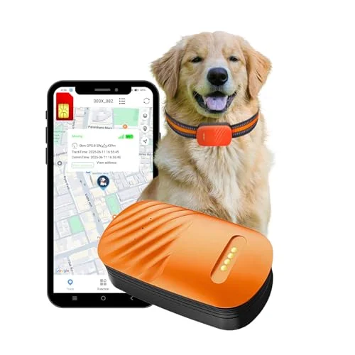 FETACA 4G GPS Pet Tracker with Collar for Dogs and Livestock (Orange, 1 Unit) v5vgo