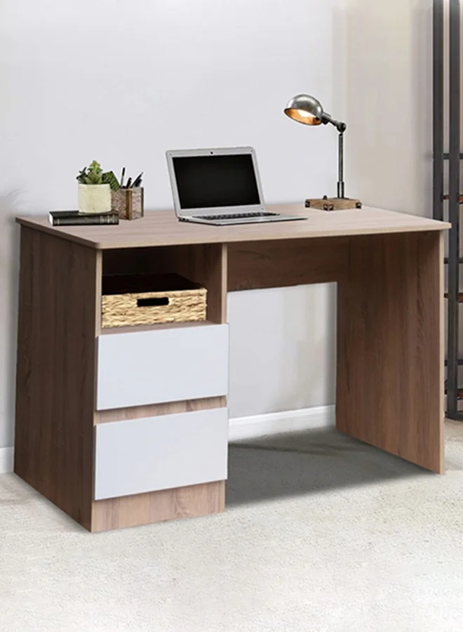 Home Box Alford Patara Study Desk with 2 Drawers (120 x 75 x 59.5 cm) Premium Wooden Home Office Workstation ub4up