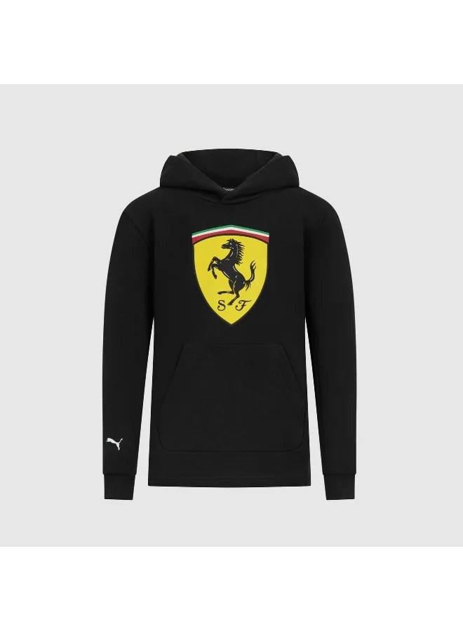 Premium Racing Team Logo Hoodie for Kids (Red, 120 cm) nbjqj