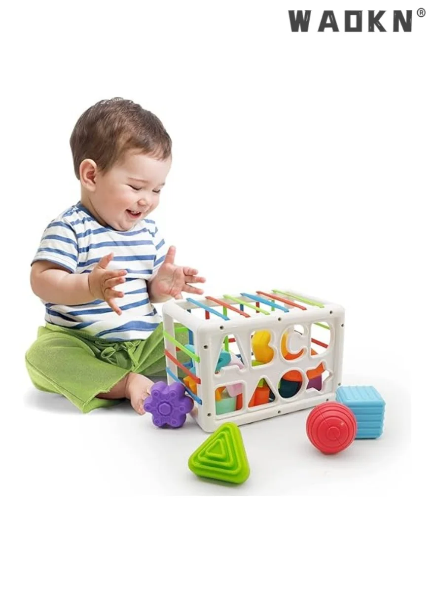 WAOKN Montessori Shape Sorter Toy for Toddlers Educational Sensory Learning Activity Set (1 Piece) 9pkm3