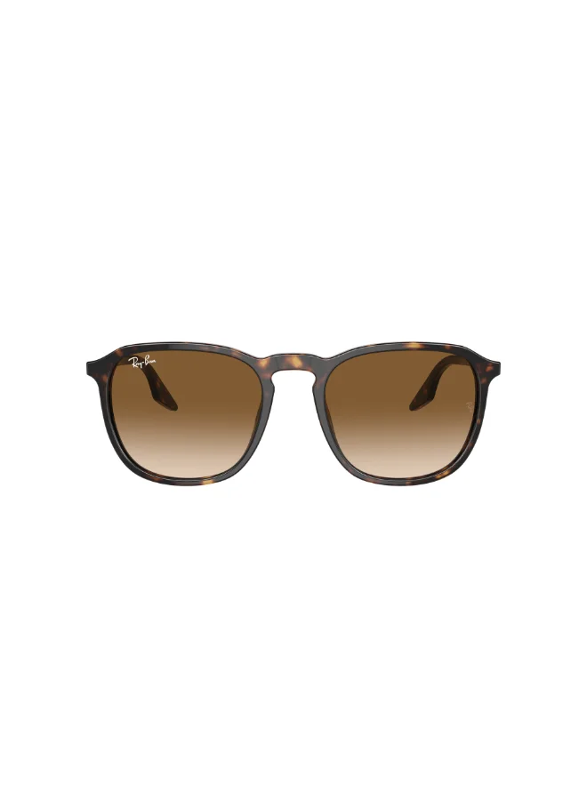 Premium Square Full Rim Sunglasses Lightweight UV Protection Eyewear for Men and Women (Tortoise Shell, 55 mm) pvcnz