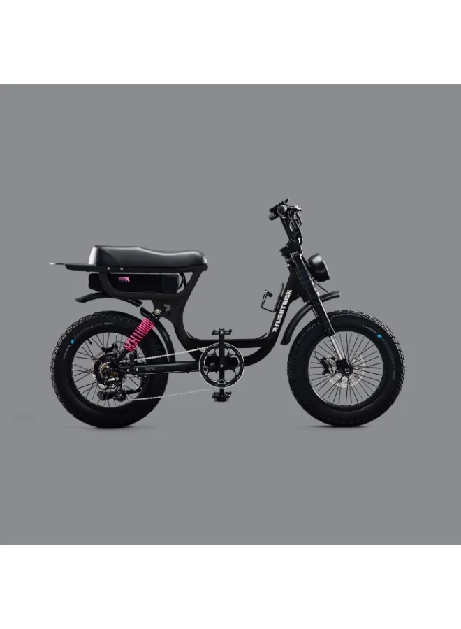 Flight Risk FR333 Electric Bike with Dual Suspension and 1000W Motor (Black, One Size) sepzs