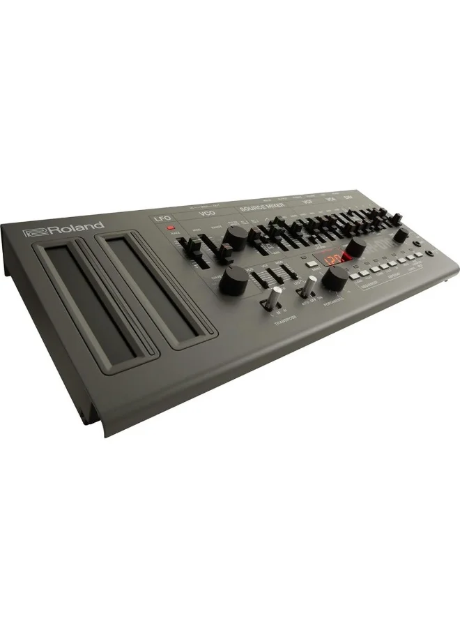 Professional Portable Analog Modeling Synthesizer with ACB Technology (Compact Desktop Module) zposj