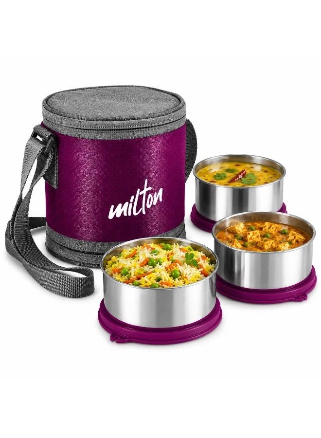 Milton Insulated Stainless Steel Lunch Box Set (3 Containers, 1140mL) Leak-Proof Tiffin with Carry Bag for Office and School ai9o9