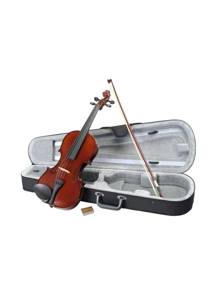 Megarya Student Violin Full Size Acoustic String Instrument (4/4, Wood) 35xgm