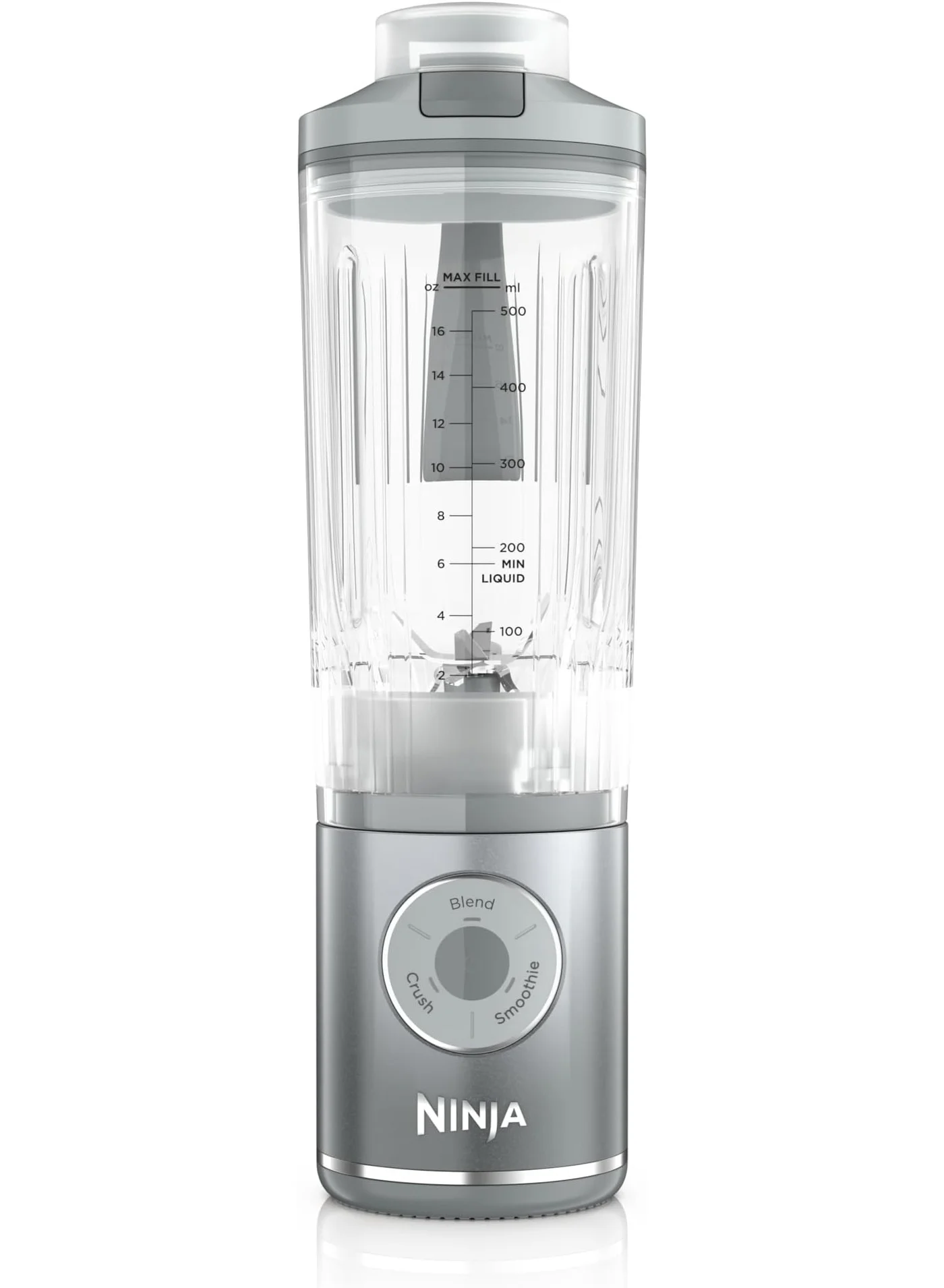 Portable Personal Blender Cordless Smoothie Maker with 650mL Removable Vessel (Platinum Silver, 650 mL) 2oryg