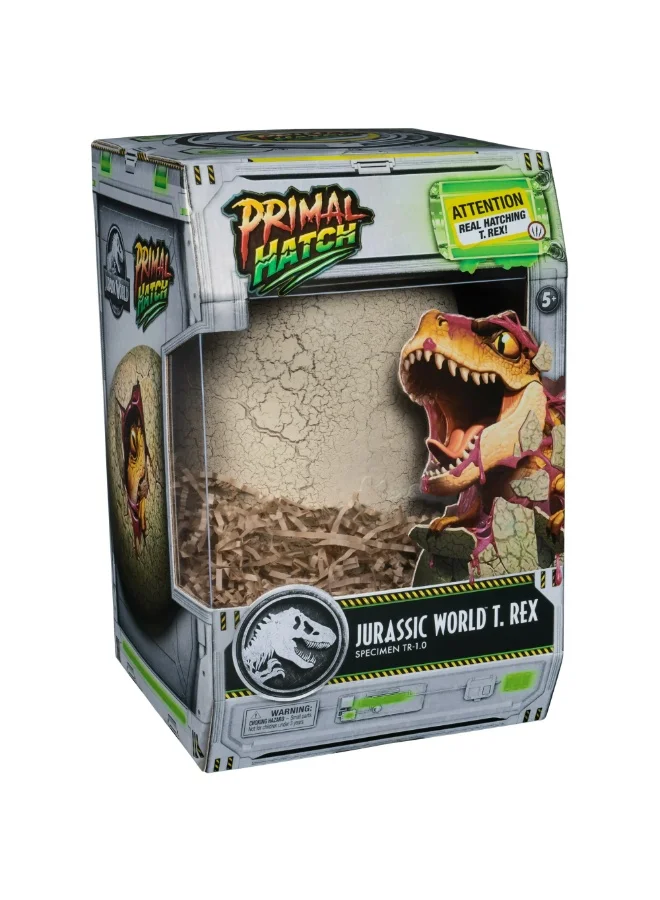 Interactive Hatching Dinosaur Toy T-Rex Figure Realistic Action Play Set (Kids, 15 cm) eh0ez