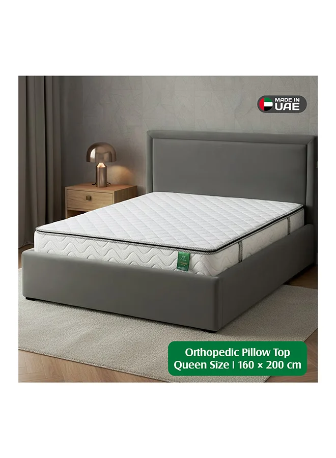 EASELIVING Orthopedic Queen Mattress Medium Firm Pillow Top Bonnell Spring Mattress with Breathable Fabric for Spine Support (160x200 cm, 24 cm) la1nw