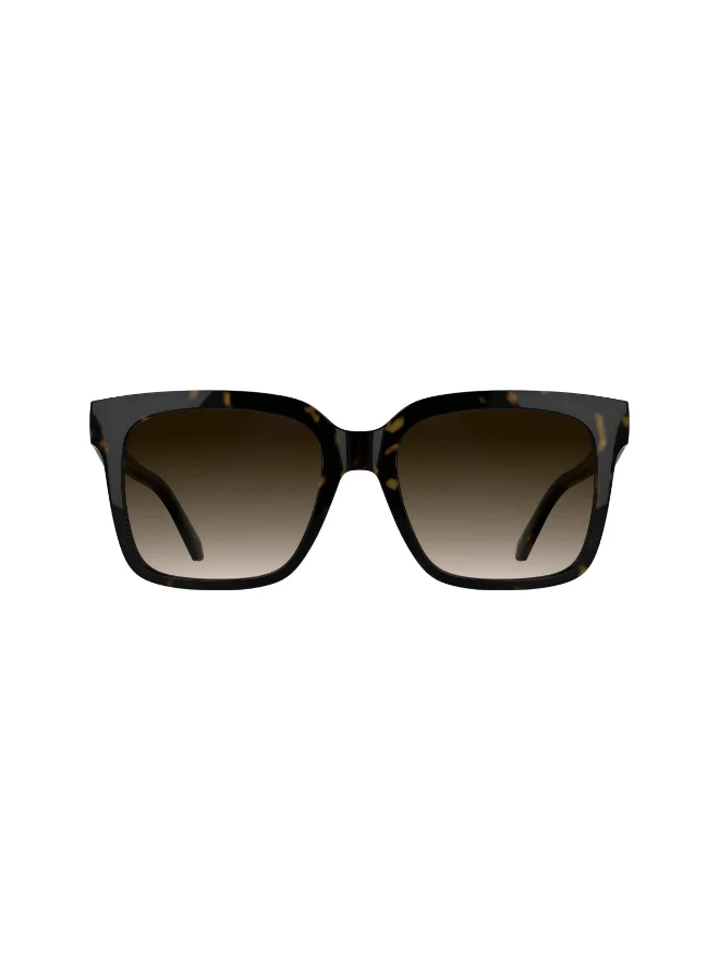 Premium Full Rim Injected Sunglasses Dark Havana (53-18 mm) 30uyi