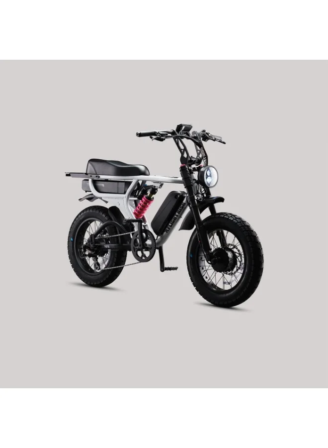Flight Risk FR777 Electric Bike Dual 1000W Motor All-Wheel Drive Off-Road Bicycle (Silver) br213
