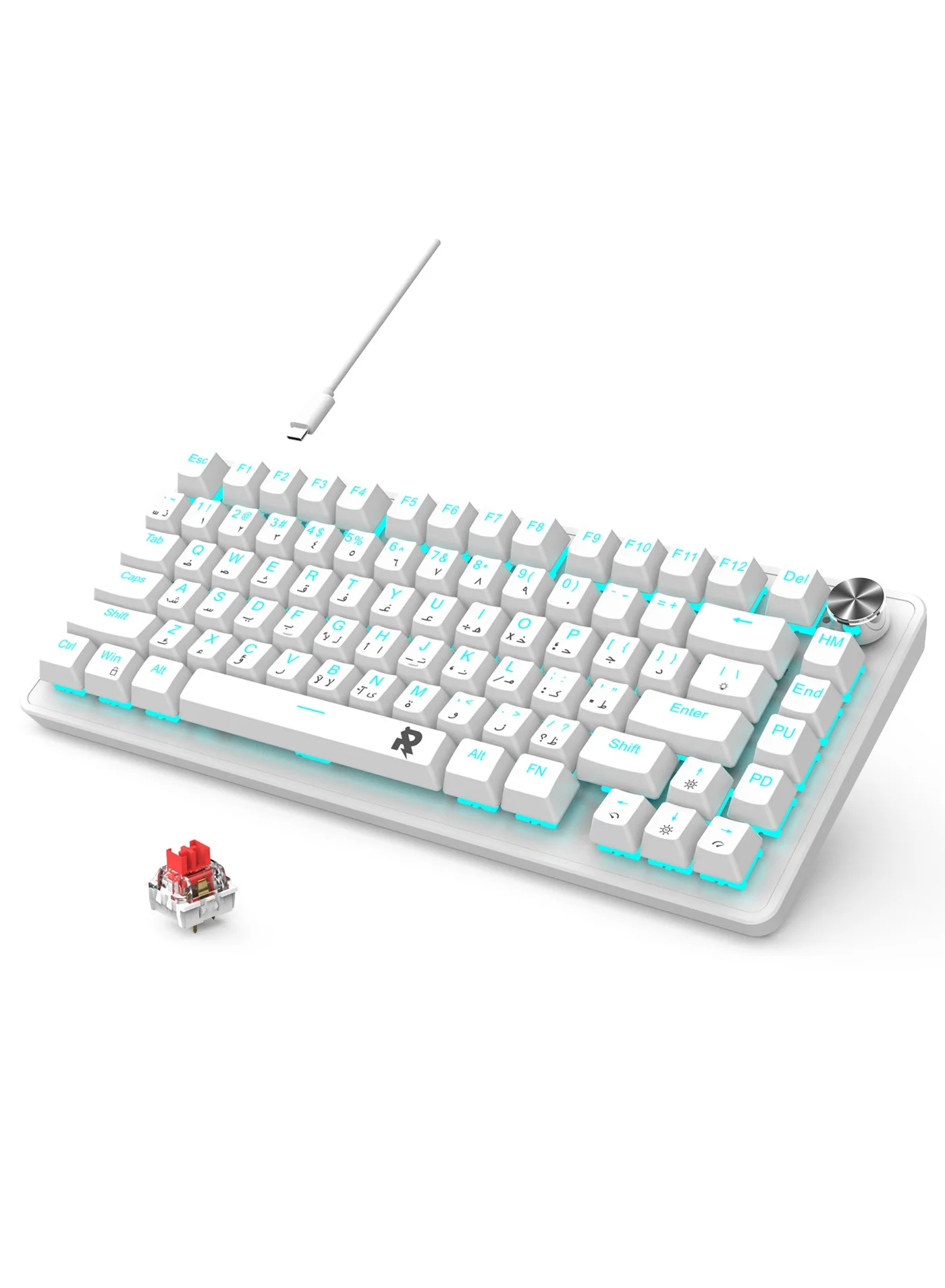 ROCK POW 70% Mechanical Gaming Keyboard, Arabic English Layout, 82 Keys, Ice Blue Backlit, Volume Knob, Wired, PBT Keycaps (White, Red Switch) 7bwae