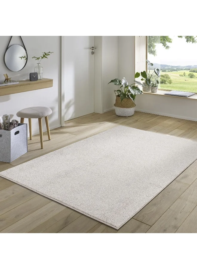 Home Box Aurora Washable Polypropylene Rug (Modern Indoor Area Carpet, 220 x 150 cm) lumcu