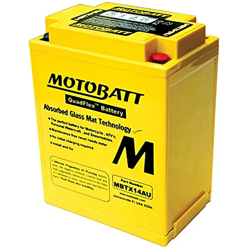 Premium Motorcycle Replacement Battery 16.5Ah High-Performance Power Source (12V, 16.5Ah) fll5m