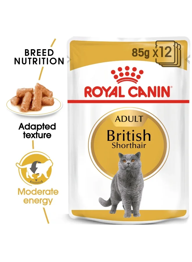 Premium Breed-Specific Adult Cat Wet Food Chunks in Gravy (British Shorthair, 12 x 85g) hwno9
