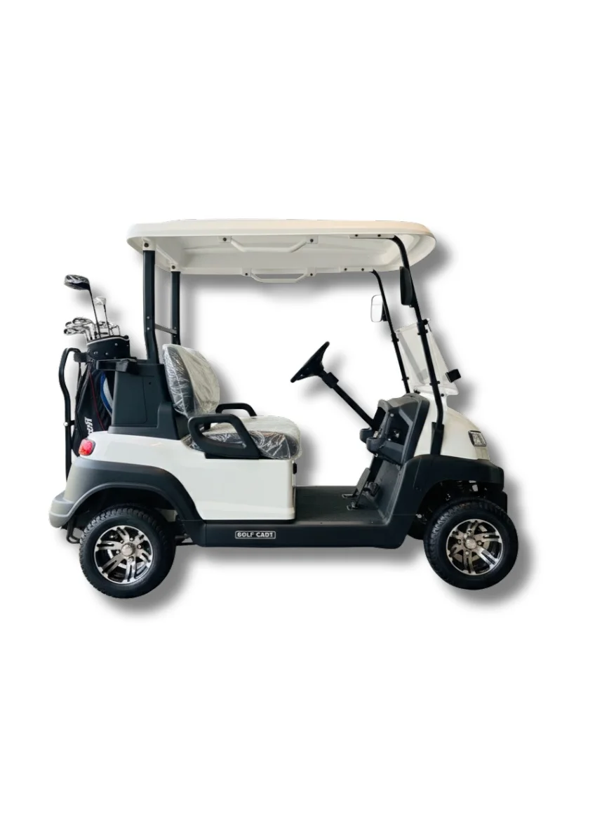 Gazmin EV Electric Golf Cart 2-Seater Utility Vehicle with Standard Tires (2-Seater) 5g36k