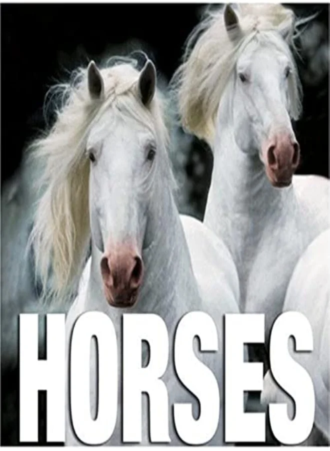 Horses Cube Book Premium Photographic Collection Hardcover Edition (15 cm x 15 cm) 2r12q