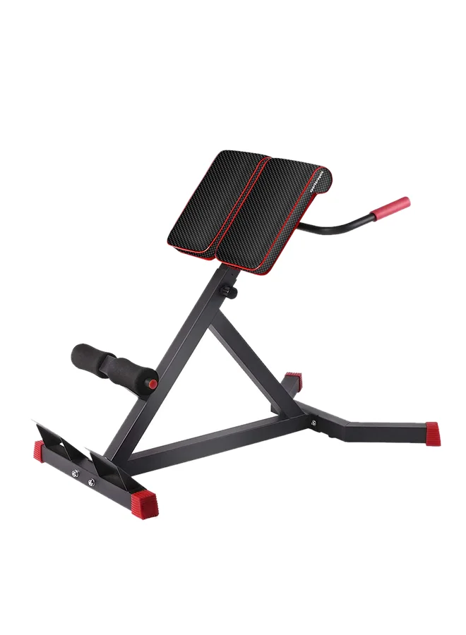 Sky Land Adjustable Abdominal and Back Training Bench Roman Chair (Heavy-Duty Steel, Home Gym Fitness Equipment) whl14