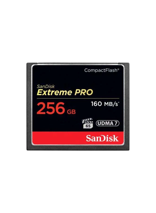 Premium High-Speed Compact Flash Memory Card 256 GB Professional Grade Data Storage for Digital Cameras (256 GB) z45vh