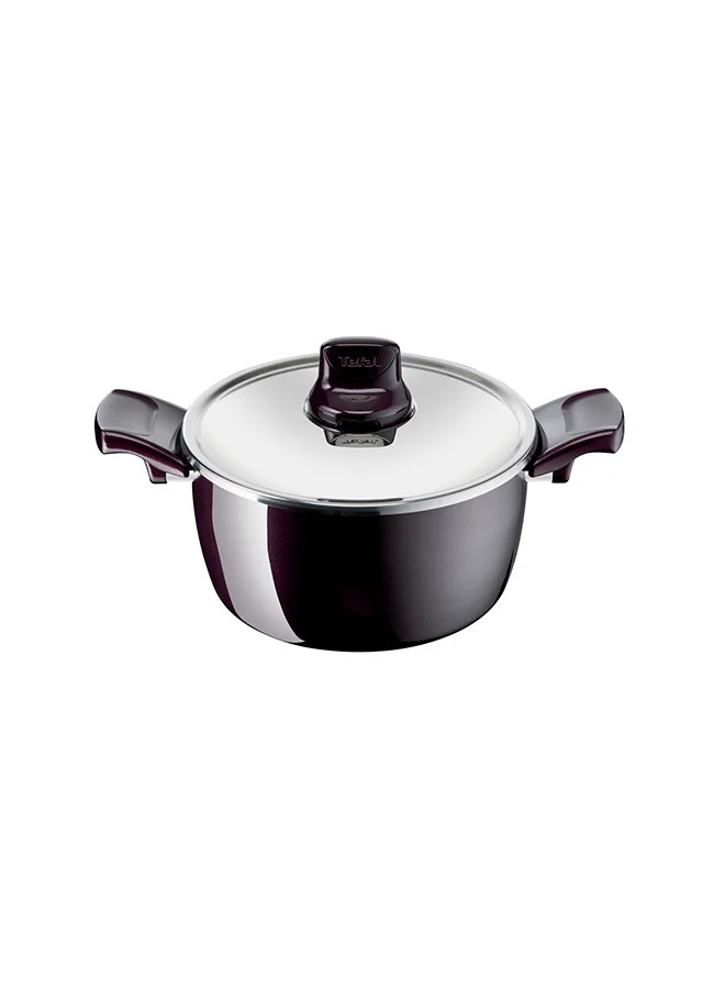 Premium Non-Stick Aluminium Stewpot with Stainless Steel Lid (Purple, 22cm) ai23w