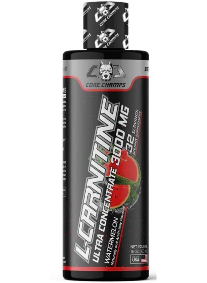 CORE CHAMPS L-Carnitine Liquid Supplement Premium Watermelon Flavor (3000 mg, 473 mL) wfash