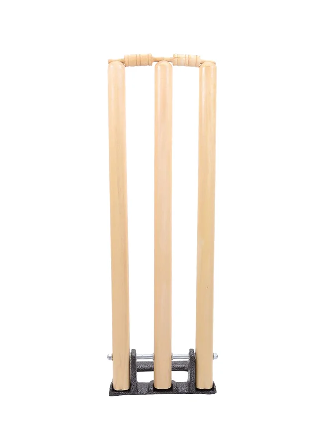 TA SPORTS Cricket Stumps with Spring Stand (Professional Training Equipment, 71 cm) xmfgy
