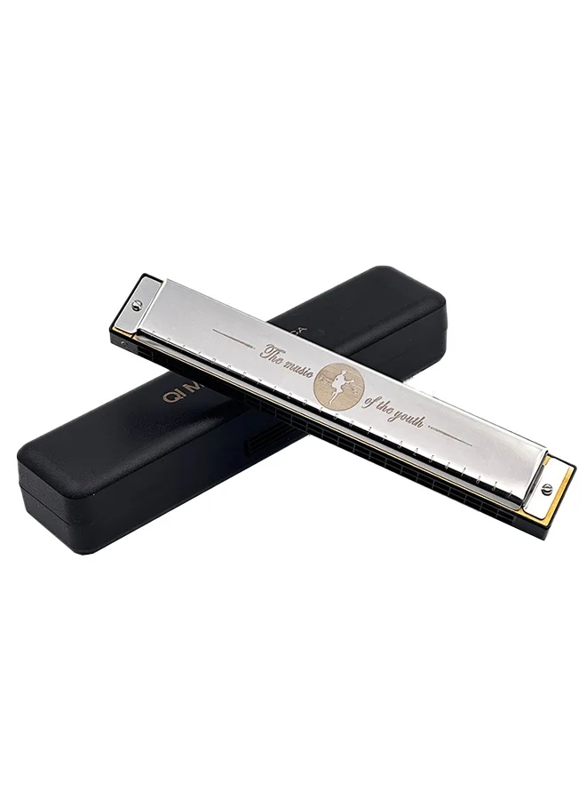 QIMEI 24 Hole Tremolo Harmonica Key of C Professional Musical Instrument (Silver, 18 cm) jga4e