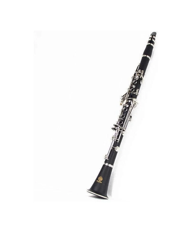 Professional Bb Clarinet Woodwind Instrument with Full Accessory Kit (Rubber Wood, 1 Piece) 6ncks