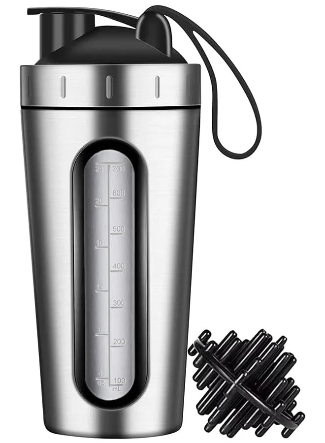 LENND Stainless Steel Protein Shaker Cup with Mixing Ball and Visible Window (Silver, 700 mL) llt3i