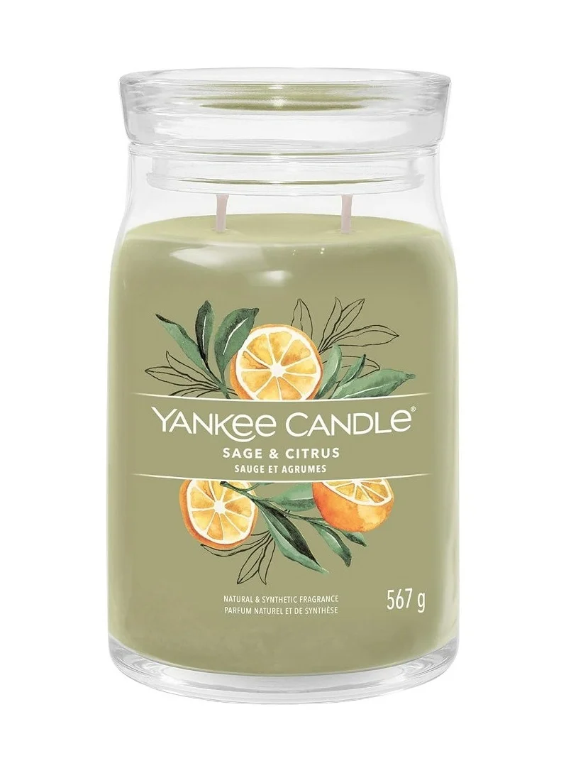 Premium Sage & Citrus Scented Jar Candle with 2 Wicks for Home Fragrance and Decor (567g) jubde