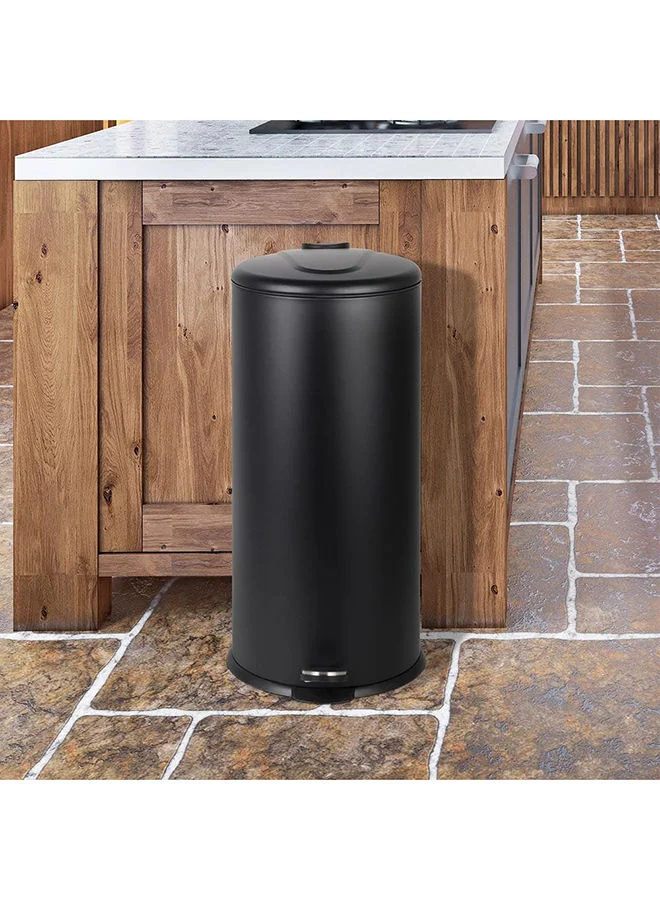 DANUBE HOME 30L Pedal Bin Soft Close Iron Metal Waste Container (Black, 29 x 65.5 cm) 5p65w