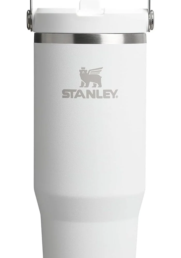 Premium Insulated Flip Straw Water Tumbler with Leak-Proof Lid (Frost, 890 mL) skz2t