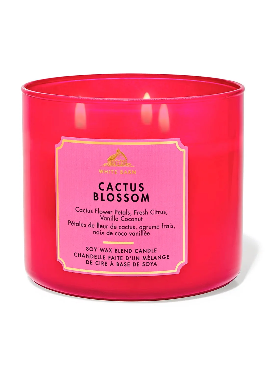 Cactus Blossom Scented 3-Wick Candle Premium Soy Wax Blend Home Fragrance (411 g) m2qp1