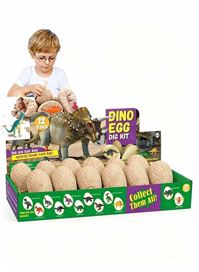 RAWAID Dinosaur Eggs Dig Kit Archaeology STEM Activity Set (12 Pack) akzay