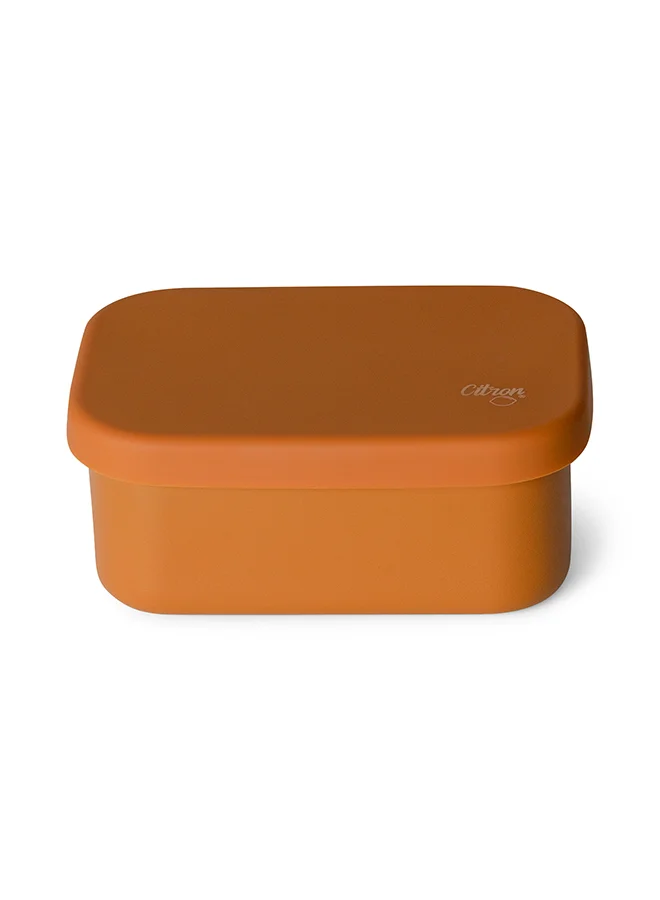 Citron Mini Stainless Steel Snack Box Premium Food Container for Toddlers (Caramel, 1 Pack) a6bbe