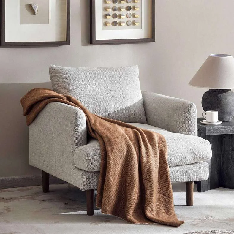 Pan Home Lagolas Single Seater Sofa Premium Fabric Upholstered Armchair for Living Room (Beige) fz0h2