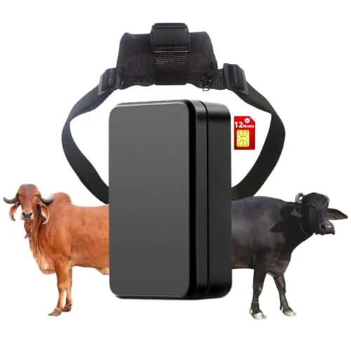 Premium Livestock GPS Tracker for Cattle Horses and Camels Waterproof Real-Time Location Tracking with 6000 mAh Battery (1 Unit) 8h8sf