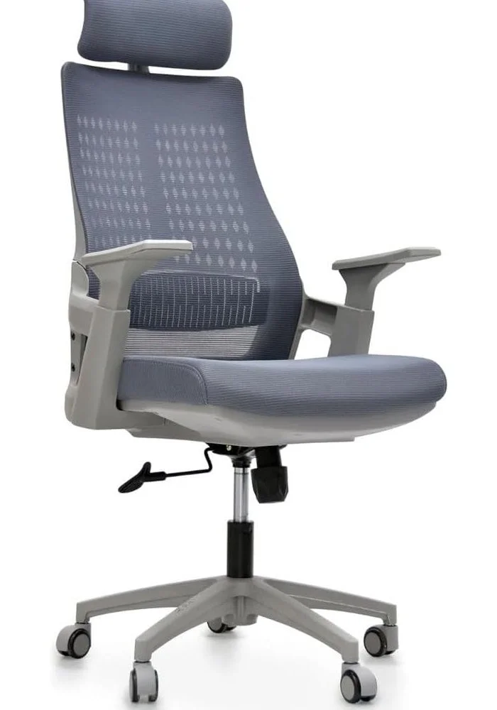 Premium Ergonomic Office Chair with Adjustable Headrest and Lumbar Support (Grey, Mesh Back) k75ep