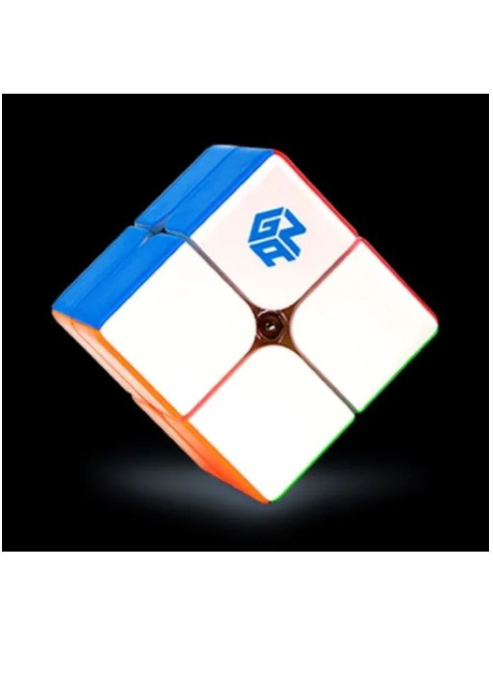 GANCUBE 249 V2 2x2 Speedcube Professional Smooth Rotation Puzzle Toy (Stickerless, 49mm) uwfsn