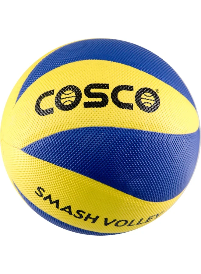 COSCO Professional Volleyball Smash Training Ball (Size 5, Standard Weight) hnfrq