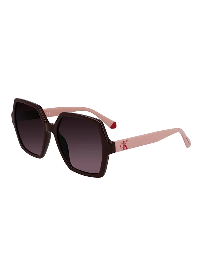 Premium Injected Full Rim Sunglasses for Women Burgundy (55-18-140) y6h6r