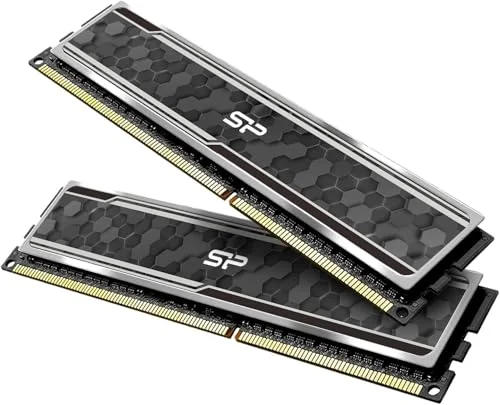 SP Silicon Power Gaming DDR4 RAM 32GB (2x16GB) 3200MHz Desktop Memory Module with Heatsink (Grey, 32GB) rnqiv