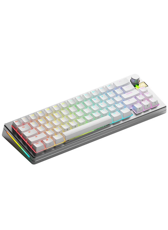 Premium HE Wireless Gaming Keyboard 65% Compact Mechanical Layout with Rapid Trigger and Adjustable Actuation (Silver) k8wuk