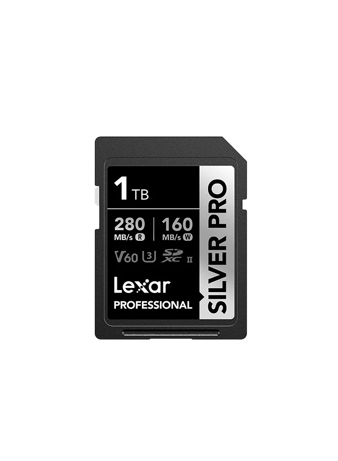 Professional Silver PRO SDXC Memory Card 1TB UHS-II V60 High-Speed Data Storage for 4K Video Recording (1 TB) g8qcc