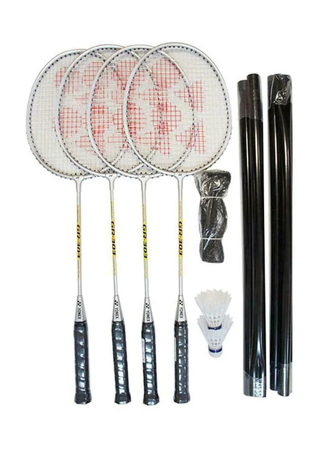 Premium Badminton Combination Set with Rackets Shuttlecocks Net and Pole (Silver, 1 Set) r2v1i