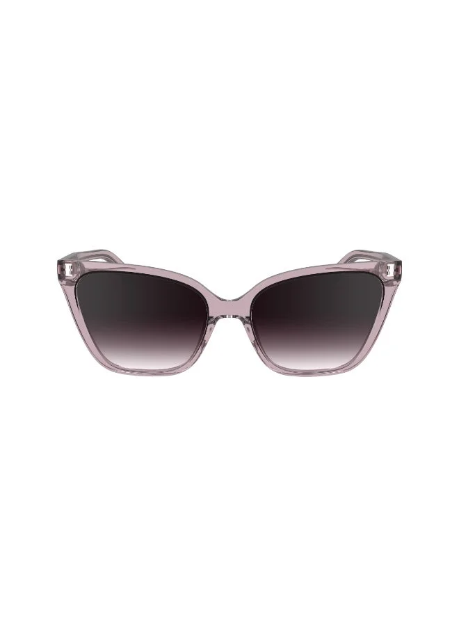 Premium Full Rim Injected Sunglasses Lightweight UV Protection Eyewear for Men and Women 92hsq
