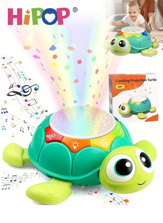 HIPOP Musical Crawling Turtle Toy Interactive Educational Learning Activity for Toddlers (18 Months Plus) 4s8lp